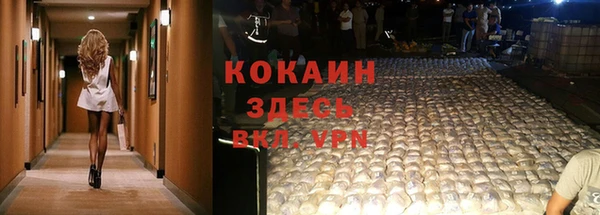тгк Бронницы