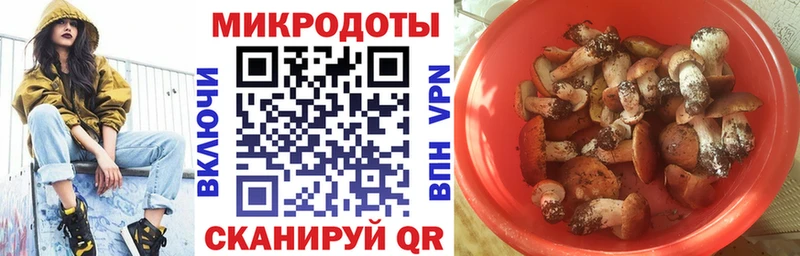 hydra рабочий сайт  купить закладку  Когалым  Псилоцибиновые грибы Psilocybe 